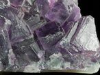 Dark Purple Cubic Fluorite Crystal Cluster - China #45931-1